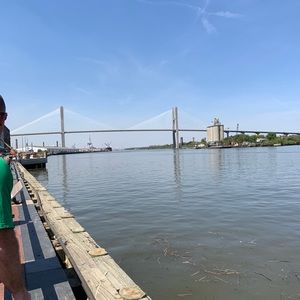 Meet your Posher, Mackenzie